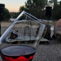 Wine Tasting & Winery Tours