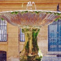 Private & Custom Tours