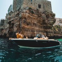 Day Cruises