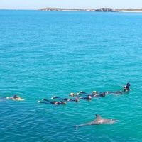 Cruises, Sailing & Water Tours