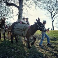 Hiking & Camping