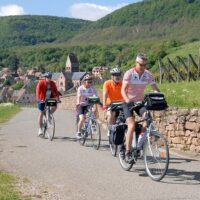 Private & Custom Tours