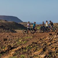 Private & Custom Tours
