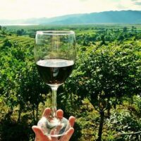Half-day Tours