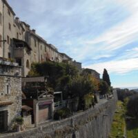 Half-day Tours