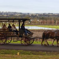 Half-day Tours