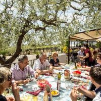 Wine Tasting & Winery Tours