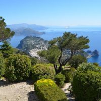 Full-day Tours