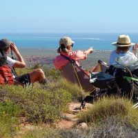 Hiking & Camping