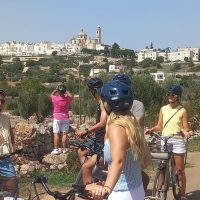 Half-day Tours