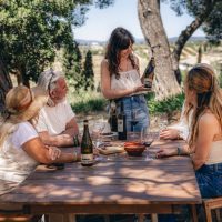 Food, Wine & Nightlife