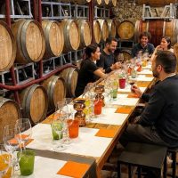 Wine Tasting & Winery Tours