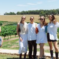 Bus & Minivan Tours