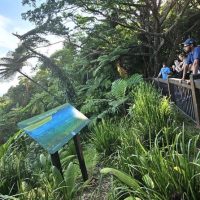 Private & Custom Tours