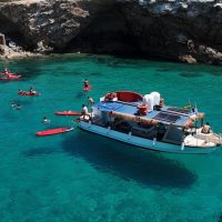 Brunch Cruises