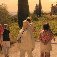 Tours & Sightseeing