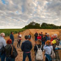Walking & Biking Tours