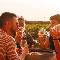 Food, Wine & Nightlife