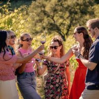 Luxury Tours