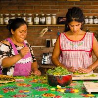 Chocolate Tours