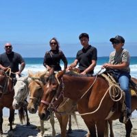 Horseback Riding