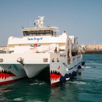 Transfers & Ground Transport