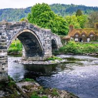 Cultural & Theme Tours