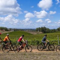 Beer & Brewery Tours