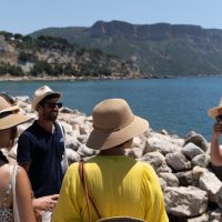 Luxury Tours