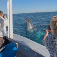 Holiday & Seasonal Tours