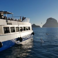 Glass Bottom Boat Tours