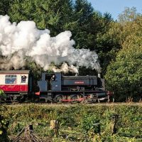 Holiday & Seasonal Tours