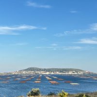 Luxury Tours