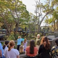 Sustainable Tours