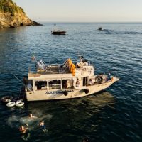 Holiday & Seasonal Tours