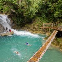 Full-day Tours