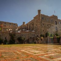 Private & Custom Tours