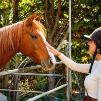 Horseback Riding