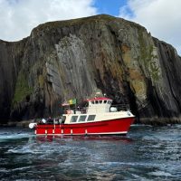 Boat Tours