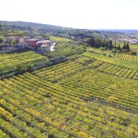 Food, Wine & Nightlife