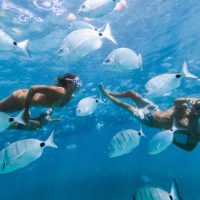 Snorkeling
