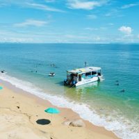 Half-day Tours