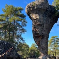 Eco Tours