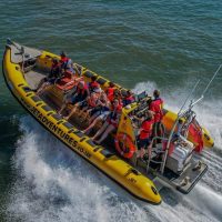 Jet Boats & Speed Boats