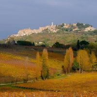 Day Trips & Excursions