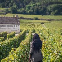 Day Trips & Excursions