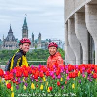 Holiday & Seasonal Tours