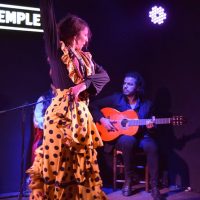 Flamenco