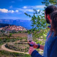 Bus & Minivan Tours
