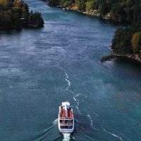 Day Cruises